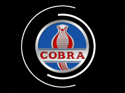 cobra_meet_loading.gif